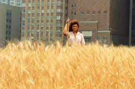 Check spelling or type a new query. The Woman Who Harvested A Wheat Field Off Wall Street The New York Times