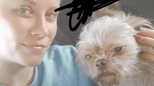 Fundraiser by Raychel Smallwood : Help Raychel and Rambo Start Fresh