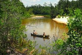 Enjoy a short trip or spend the entire day drifting down the river. Blackwater River Canoe And Kayak Rental Canoe And Kayak Canoe Rental Kayak Rentals