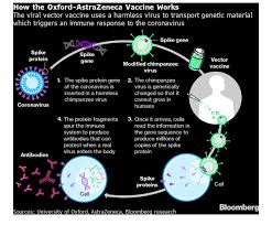 The university, which developed the vaccine in partnership with astrazeneca plc, said the. Vincent Rajkumar On Twitter The Uniofoxford Astrazeneca Vaccine Is An Adenovirus Vector Vaccine See Mechanism Of Action And Doses Reserved By Country Business Psampathkumarmd Https T Co Bqs8wbwuay