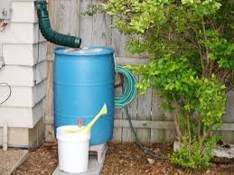 Finally, you can install hose bib or faucet to the bottom side of your barrel to get the rainwater. Rain Barrels 5 Things To Consider Before You Buy Chicago Tribune