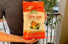 Check spelling or type a new query. The Full Guide To Lime Tree Fertilizer And The Top 3 Brands Couch To Homestead