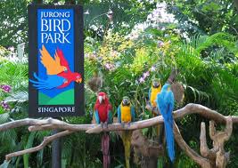 Timings are subject to change. Jurong Bird Park Singapore Tickets Info Tips All You Need To Know