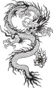 Transparent Chinese Dragon Tumblr Black And White Google Search Dragon Illustration Asian Dragon Tattoo Dragon Tattoo