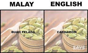 Buah pelaga mempunyai khasiat kepada penghidap tekanan darah tinggi. Malay Language Vs English Steemit