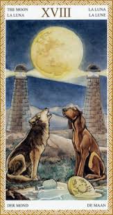This is about the faith that comes from trusting and following your own values and intuition. The Moon Tarot Elements