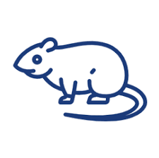 Pest control ny has experienced professionals, which are licensed by the new york state department of environmental conservation to trap, remove and transport raccoons and nuisance wildlife. Homestead Wildlife Solutions Ridge Suffolk County Ny Wildlife Control Services