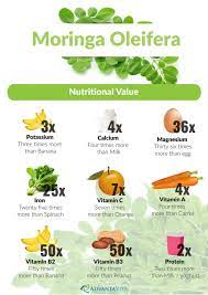 Moringa Oleifera Moringa Oleifera Moringa Moringa Benefits