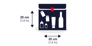 What to expect from airport security. Hand Baggage