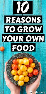 Growing your own food is the best game in the world, for at the end of it there's supper. 10 Reasons To Grow Food In Small Spaces Even If You Live In An Apartment Lobotany