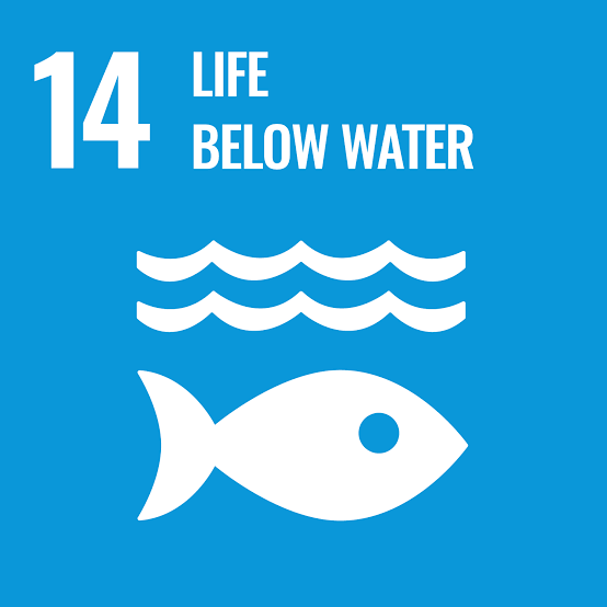 SDGs 14 - Fakultas Ilmu Sosial & Ilmu Politik