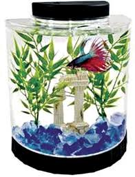 Tetra 1 1 Gallon Half Moon Betta Aquarium Kit Reviews Wayfair Betta Fish Tank Betta Aquarium Betta Fish Bowl