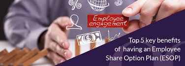 If you're thinking about establishing an ess for your company, read on to learn Top 5 Benefits Of An Employee Share Plan Esop Boardroom Limited