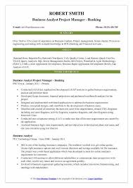 Business Analyst Project Manager Resume Samples Qwikresume