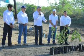 Conmemoran “Día Nacional del Árbol” con campaña de reforestación