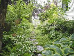 Maybe you would like to learn more about one of these? 9 Beautiful Plant Combinations For Shady Side Yards