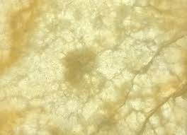 We did not find results for: Backlit Marble And Onyx Surface Solutions Stratum Stone