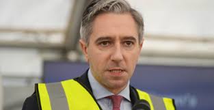 Who is Jennifer Carroll MacNeill as she is appointed the new Minister for  Health