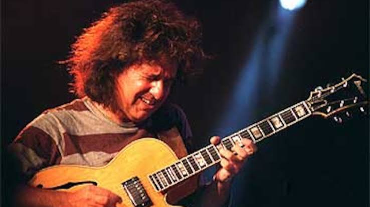 Palau de la Música: Pat Metheny exhibe en Barcelona sus mil caras con dos años y medio de retraso | Noticias de Cataluña | EL PAÍS