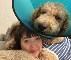 I thought I adopted a tiny cockapoo