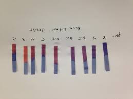 measuring ph with litmus paper precision laboratories