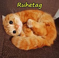 Eigentlich ist der sonntag ja ein ruhetag an dem man sich ausruhen soll, aber einige arbeiten lieber zu hause. Ruhetag Lustige Spruche Beste Wochenende Lustige Xdpedia De 2