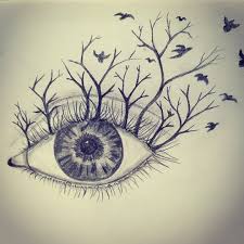 Practice Pencilart Pencildrawing Drawing Art Beginner Beginnerartist Eye Eyedrawing Tree Bi Pencil Drawings Of Girls Eye Pencil Drawing Face Drawing