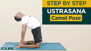 Ustrasana Camel Pose Benefits How To Do Contraindications By Yogi Sandeep Siddhi Yoga Youtube