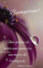 Pin Di Maria Concetta Scalavino Su Buongiorno Buongiorno Buongiorno Immagini Immagini