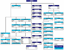 17 Prototypical Anheuser Busch Organizational Chart