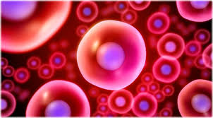 Make an amazing and fully customized online quiz in minutes, start for free. Stem Cells Facts And Quiz