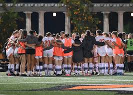 Mid-season selects! 📸 #onetigermanystripes🐅🧡