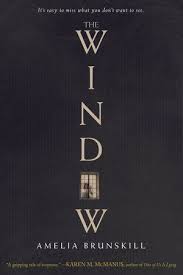 The Window By Amelia Brunskill 9781524720322 Penguinrandomhouse Com Books In 2020 Book Cover Design Inspiration Best Book Covers Book Cover Art