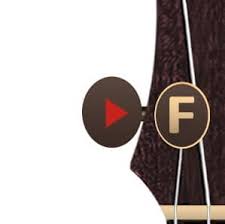 Variety pack · pods · 10 count (pack of 10). Online Ukulele Tuner Keep Your Ukulele In Tune With Uke Tune Ukesong