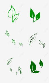 Semak daun is one of the islands in the seribu island, or called thousand islands. Gambar Gambar Garis Daun Teh Menggambar Garis Teh Teh Hijau Png Transparan Clipart Dan File Psd Untuk Unduh Gratis Gambar Garis Desain Vektor Abstrak