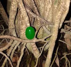 Pin Di Mustika Samber Lilin A11