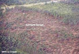 The fujita scale, named after us storm researcher tetsuya fujita, is a scale for rating tornado intensity based. Facts About Microbursts Live Science