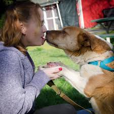 Maybe you would like to learn more about one of these? Homeward Bound Pets Keep It Local Mac