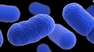 The meat products were produced on various dates from june 18 to july 2, 2010, and have various use by dates ranging from august 20 to september 10 the problem was discovered as a result of a retail sample collected by the state of georgia that confirmed positive for listeria monocytogenes. Cdc Warns Multi State Listeria Outbreak From Deli Meats Cnn