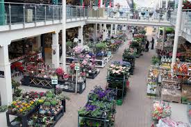 Tuincentrum Oosterik Snijbloemen Alles Voor Binnen En Buiten