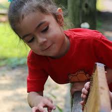 River Trail Nature Center provides welcoming home to bee colonies