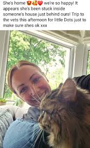 UPDATE** Cat is now back with it's owners 🥰 the power of Spotted Coventry  💪🏽