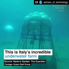 Gelecek Icin Teknoloji On Instagram This Is Italy S Incredible Underwater Farm Sualti Ciftligi Sualticiftligi Dalgic In 2020 The Incredibles Underwater Technology