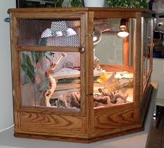 I hope you enjoy watching m. 49 Best Bearded Dragon 3d Background Ideas Bearded Dragon Bearded Dragon Cage Bearded Dragon Care