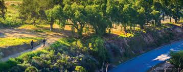 Wilmot botanical gardens are open to visitors from dawn to dusk. In The News Ventura Botanical Gardens