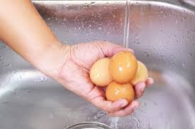Below we have described how long do fresh eggs last in the fridge and also unrefrigerated? Here S Why You Shouldn T Wash Eggs Reader S Digest
