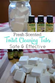 Check spelling or type a new query. Toilet Cleaner Tabs Retro Housewife Goes Green