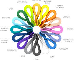 Rhododendronwhat does each flower symbolize?symbolic meanings of herbs honeysuckle is also used for urinary disorders, headache, diabetes, rheumatoid arthritis, and cancer. Custom Cancer Awareness Bracelets Cancer Wristband Colors Reminderband