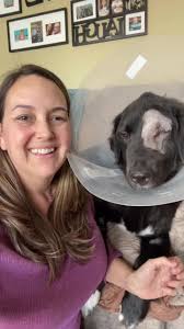 Amy Gibbons (@amygibbons8)