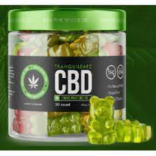 Best CBD oil for recovery